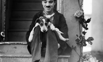 Vida de perro, de Charlie Chaplin. Vean aquí la película.