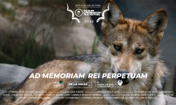 Ad Memoriam Rei Perpetuam. Ya pueden ver la película de forma gratuita.