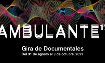 Resistencias y Retrovisor de Ambulante 2022