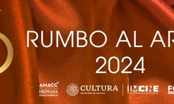 Ciclo Rumbo al Ariel 2024. ¿Dónde ver las películas?